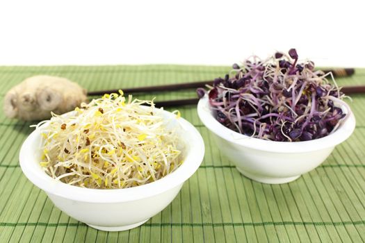 two bowls with alfalfa sprouts and radish sprouts