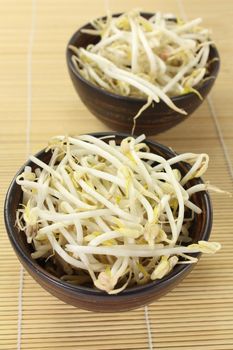 two bowls of mung bean sprouts on a bast mat
