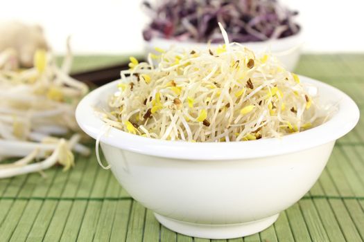 two bowls with alfalfa sprouts and radish sprouts