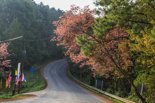 roadside photography nature in many place