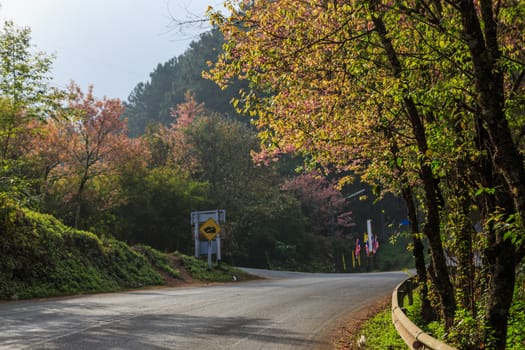 roadside photography nature in many place