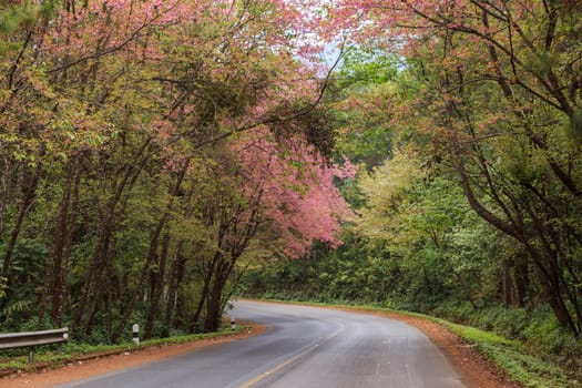 roadside photography nature in many place