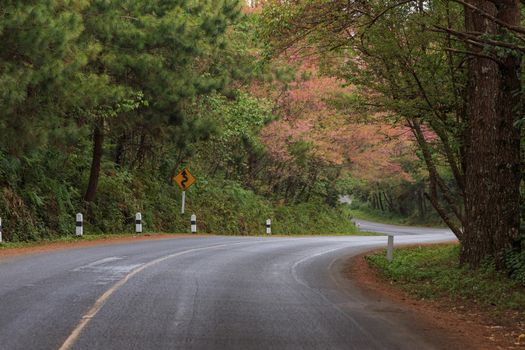 roadside photography nature in many place