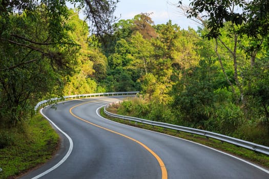 road green nature in many style in the north of thailand 