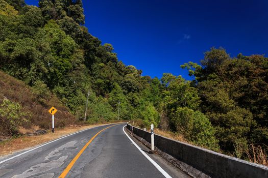 road green nature in many style in the north of thailand 