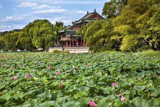 Red Pavilion Lotus Pads Garden Summer Palace Park, Beijing China Willow Green Trees