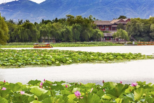 Pink Lotus Pads Garden Boat Buildings Summer Palace Beijing China