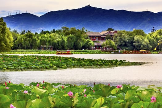 Pink Lotus Pads Garden Boat Buildings Summer Palace Beijing China