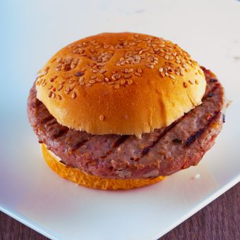 Hamburger over a white plate, square image