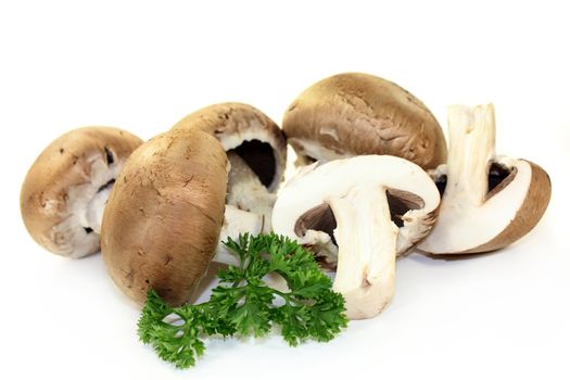 brown mushroom against a white background