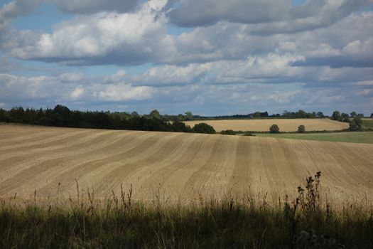 Rolling countryside with golden colored harvested field and clouds in blue sky