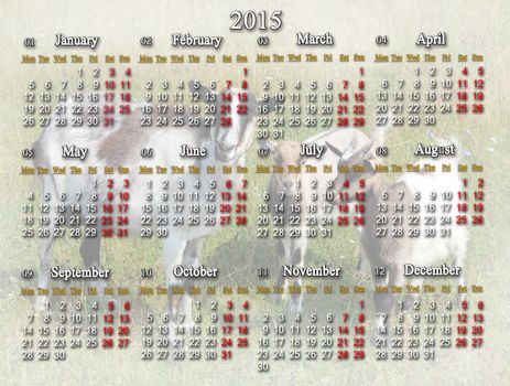 beautiful calendar for 2015 year with goats on the pasture