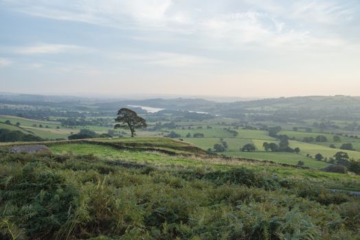 Views from The roaches over Tittesworth reservoir, Staffordshire, England