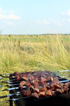 appetizing barbecue with great pieces of meat on the fire
