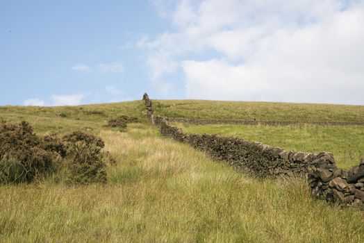 A view up a dry stone wall in the countryside, Derbyshire