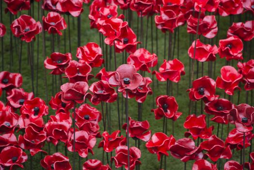 The Blood Swept Lands and Seas of Red installation in the moat of the Tower of London, 2014