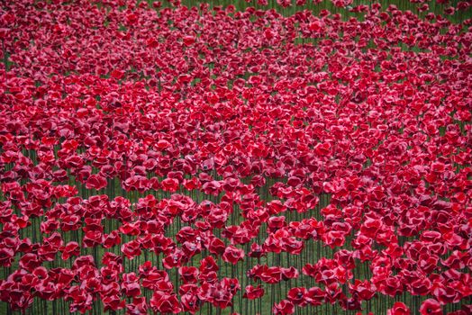 The Blood Swept Lands and Seas of Red installation in the moat of the Tower of London, 2014