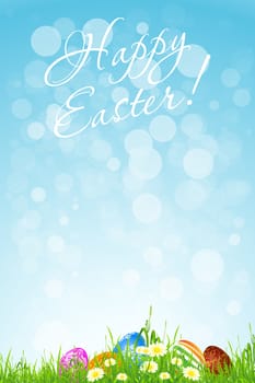 Easter Background with Flowers and Grass