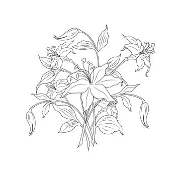 bouquet of flowers in black and white colors, vector illustration