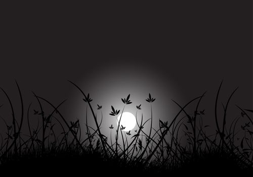 Summer night, moon in the grass, abstract background