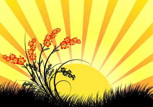 amazing sunset landscape with grass silhouette vector illustration