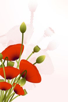 Abstract Background with red poppy flowers for your design