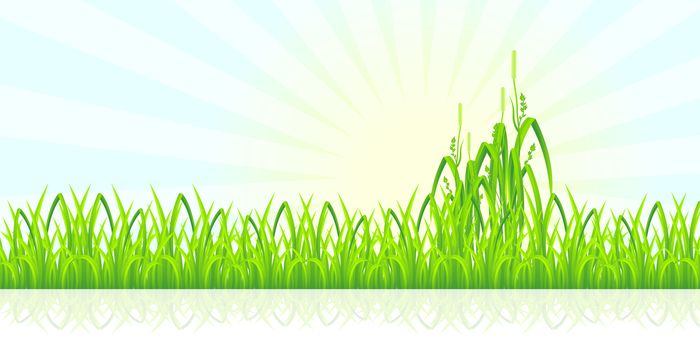 Green grass with sun and rays for your design