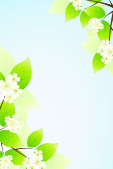 Green Leaves and flowers in blue sky