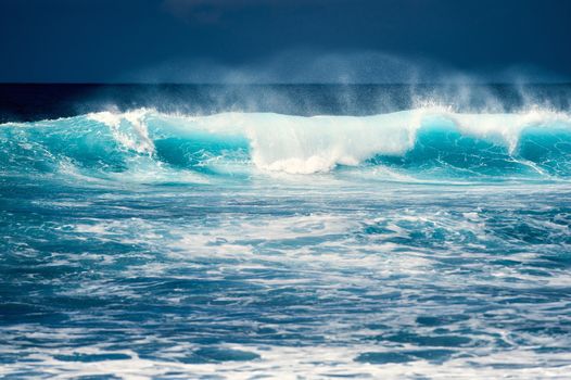 Splash wave on the surface of the ocean