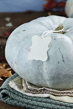 Thanksgiving holiday, blue or teal colored pumpkin still life decoration with with blank greeting card with copy space. Extreme shallow depth of field.