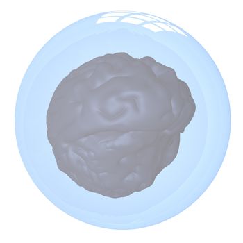 Brain in a bubble, isolated over white, 3d render
