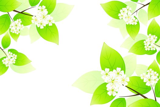 Green leaves and flowers isolated on white background