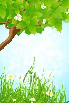 Green Grass and Tree Branch on Blue Background