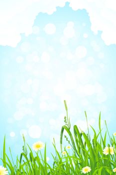 Background with Grass Flowers and Clouds in the Sky