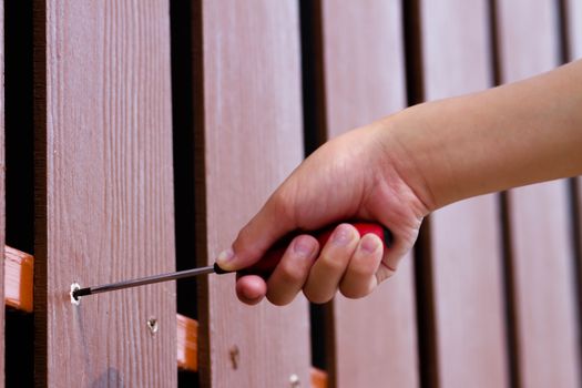 A hand screw in the screw with red screw driver isolated with on walls