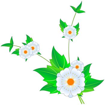 Vector Flowers