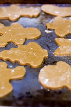 Unbaked gingerbread cookies on a metal pan waiting to go into the oven.