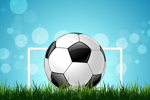 Soccer Ball with Soccer Gate in Green Grass