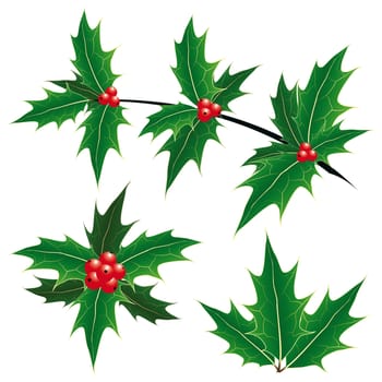 Christmas decoration mistletoe leaf with berry, vector icon