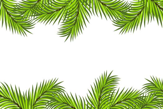 Fir framing isolated on white background