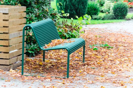 Autumn mood in a public park. Green metal bench with leaves.