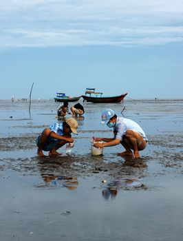 MEKONG DELTA, VIETNAM- JULY 8:Unidentified children, women working on beach when tide going out, people rake black sand to catch sell fish, many child labor at poor countryside, Viet Nam, July 8, 2014