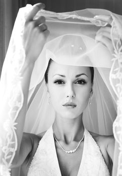 Portrait of the beautiful bride in a veil