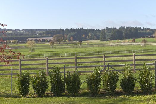 Horse ranch and country living in rural Oregon near Wilsonville.