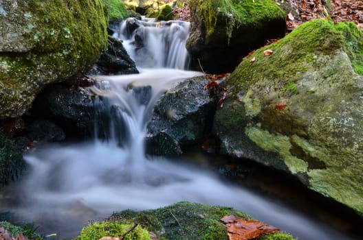 flowing stream in forest, long exposure portrait