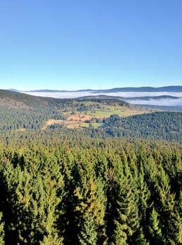 valley with morning fog and forest under blue sky
