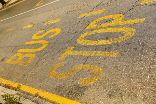 Bus stop written on the street.