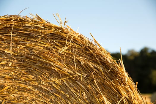 Hay bale on a harvested field in Germany.