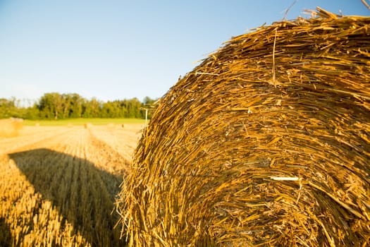 Hay bale on a harvested field in Germany.