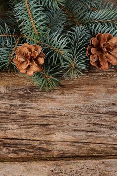 The christmas tree on a wooden background